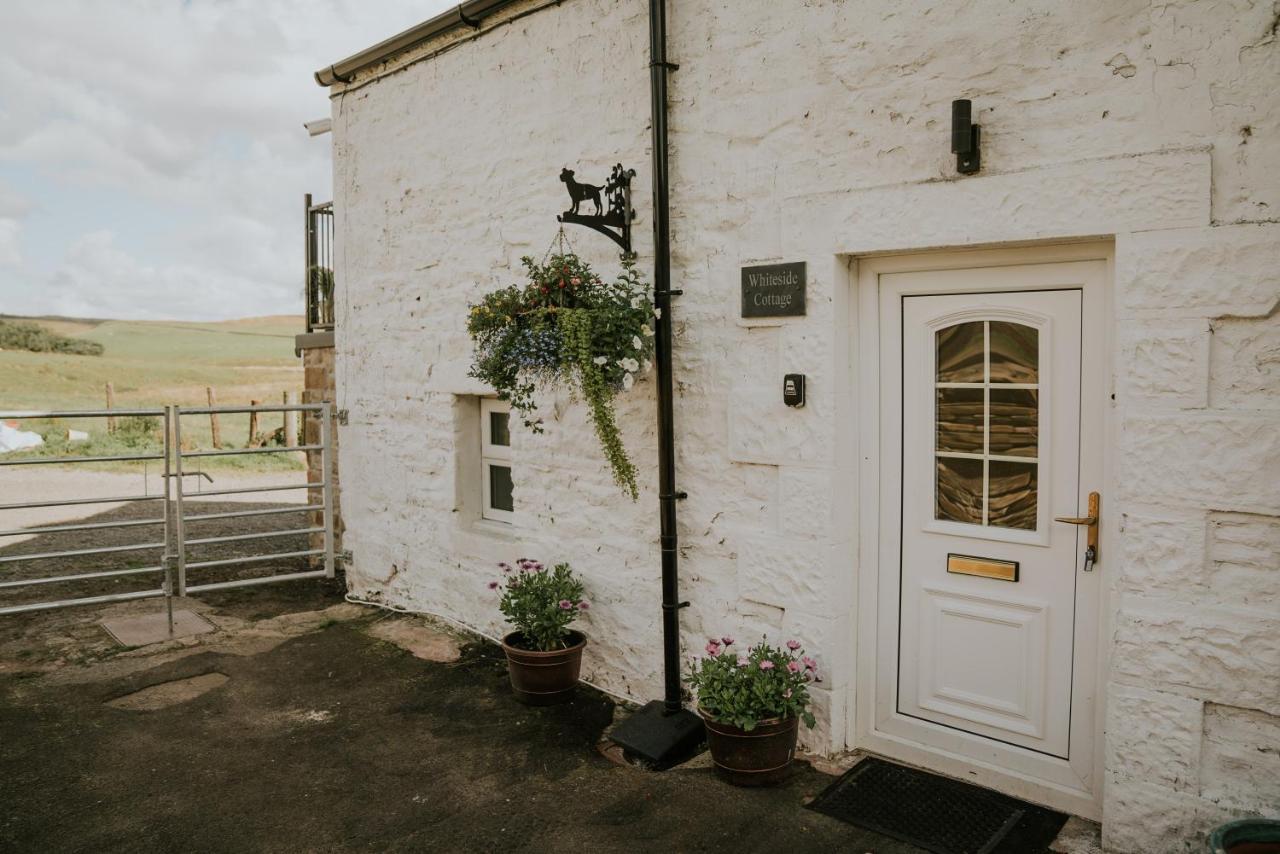 White Side Cottage Haltwhistle Exterior photo