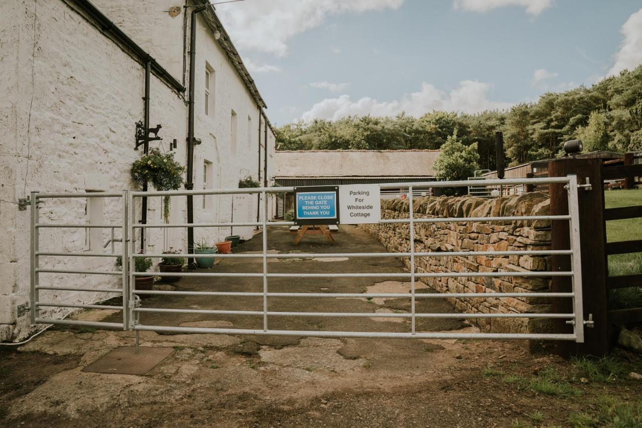 White Side Cottage Haltwhistle Exterior photo